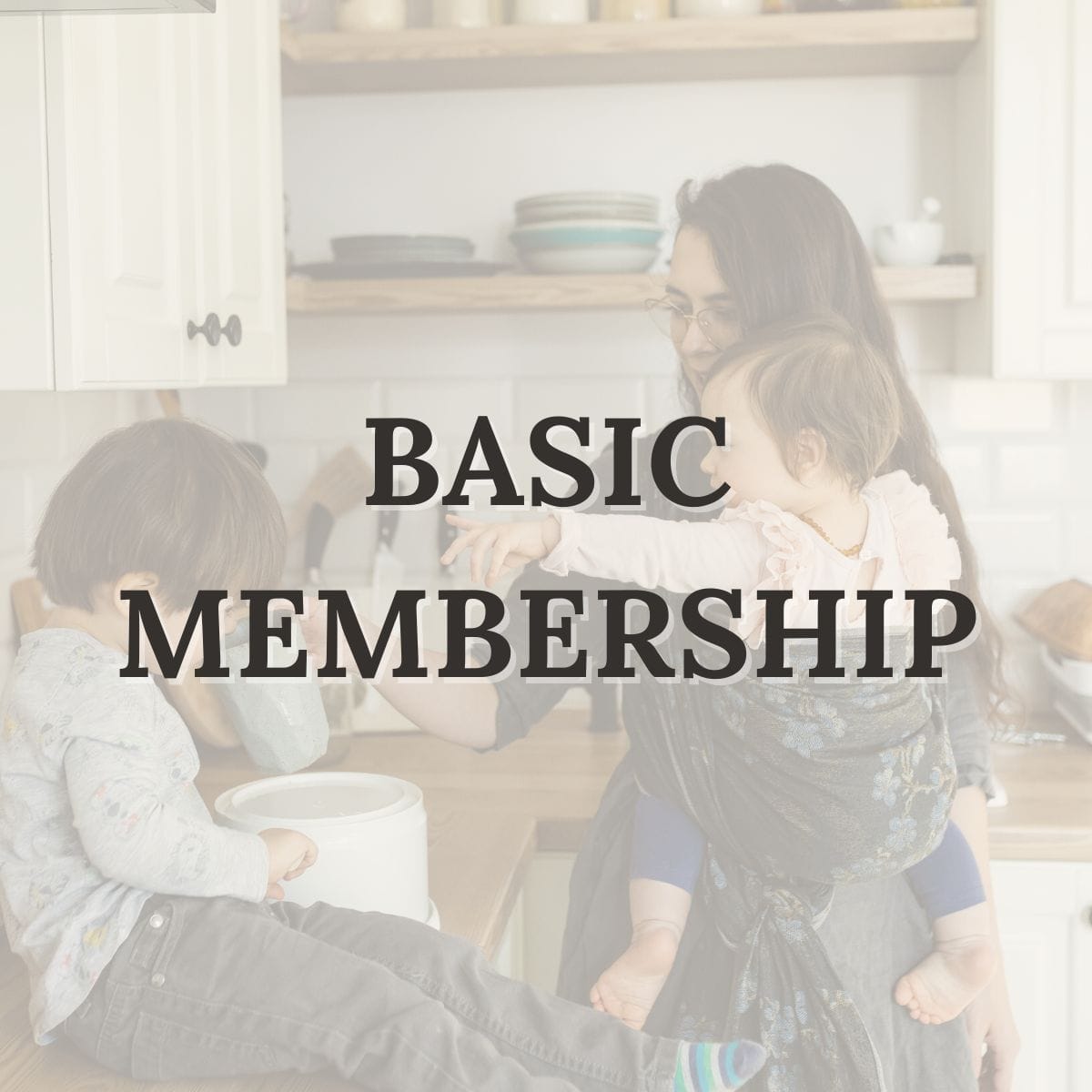 Basic+ Membership for Manufacturers and Importers