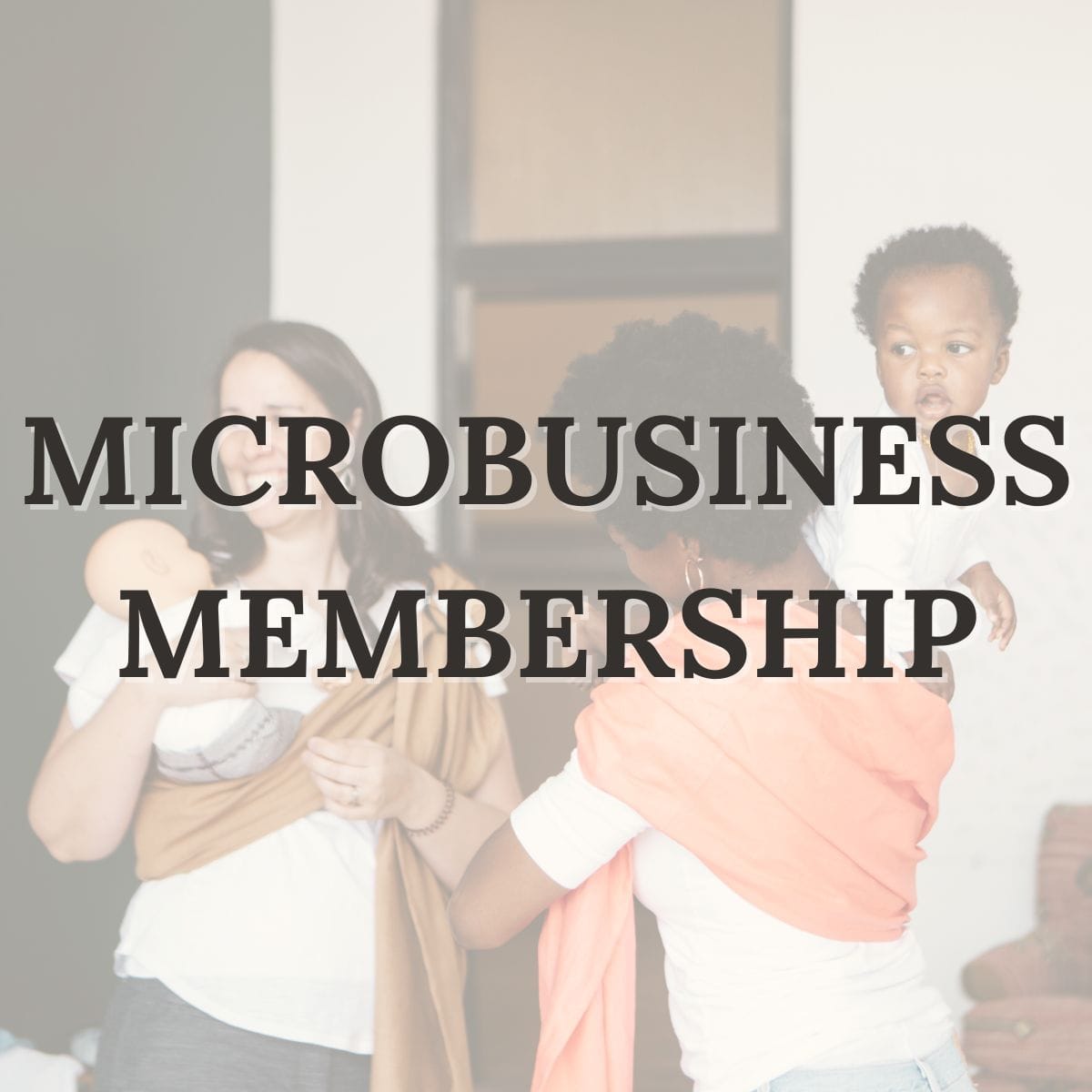 Microbusiness Membership